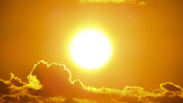 What is the Best Source of Vitamin D?